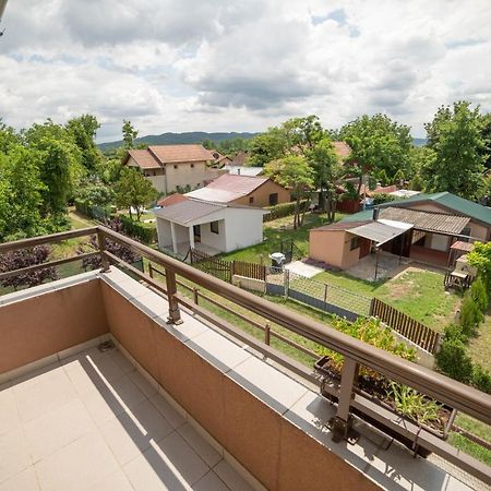 Prenociste Leona Apart otel Veliko Gradište Dış mekan fotoğraf